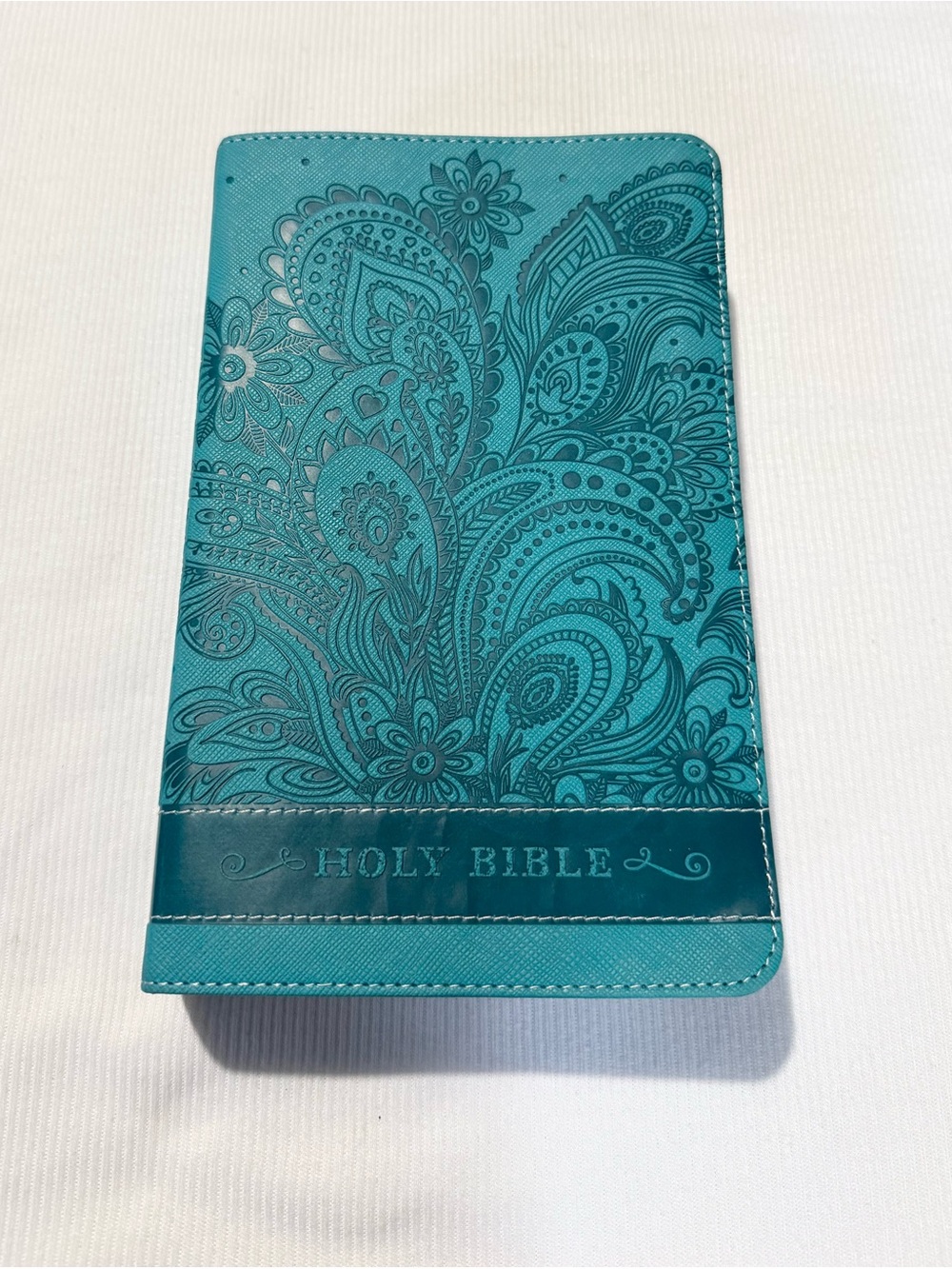 NIV Teen Girls Bible Blue Leather Zondervan